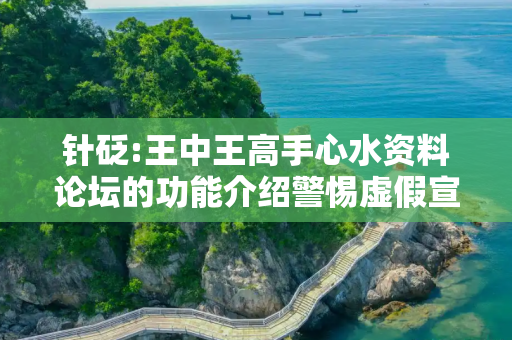 针砭:王中王高手心水资料论坛的功能介绍警惕虚假宣传、全面解答与解释