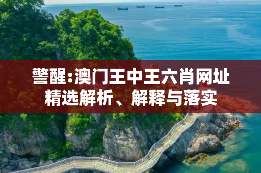 警醒:澳门王中王六肖网址精选解析、解释与落实