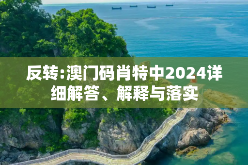 反转:澳门码肖特中2024详细解答、解释与落实