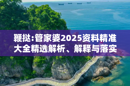 鞭挞:管家婆2025资料精准大全精选解析、解释与落实