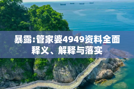 暴露:管家婆4949资料全面释义、解释与落实