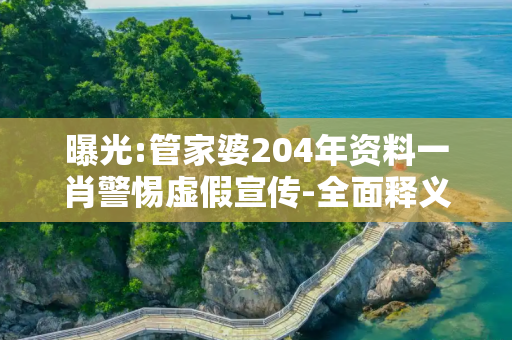 曝光:管家婆204年资料一肖警惕虚假宣传-全面释义