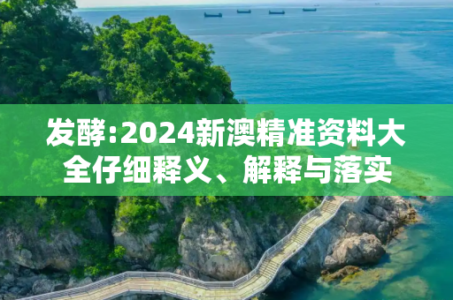 发酵:2024新澳精准资料大全仔细释义、解释与落实