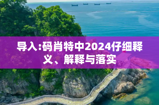 导入:码肖特中2024仔细释义、解释与落实