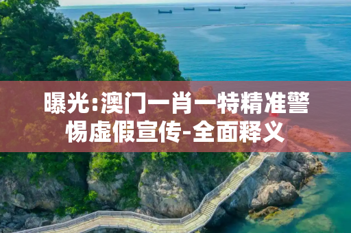 曝光:澳门一肖一特精准警惕虚假宣传-全面释义