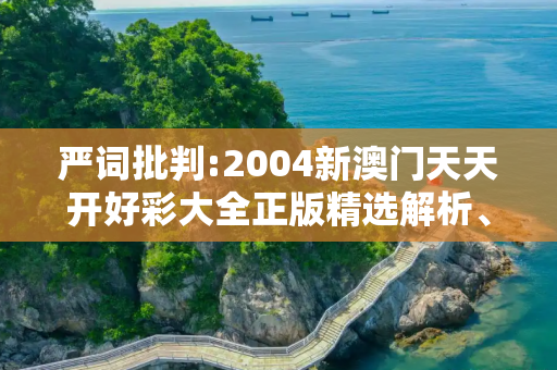 严词批判:2004新澳门天天开好彩大全正版精选解析、解释与落实