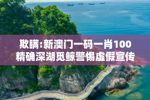欺瞒:新澳门一码一肖100精确深湖觅鲸警惕虚假宣传-全面释义