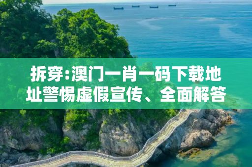 拆穿:澳门一肖一码下载地址警惕虚假宣传、全面解答与解释