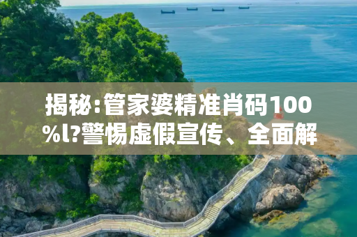 揭秘:管家婆精准肖码100%l?警惕虚假宣传、全面解答与解释