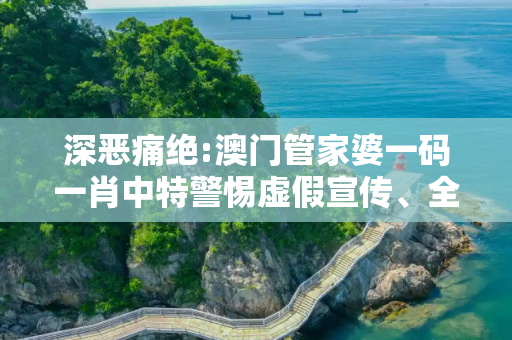 深恶痛绝:澳门管家婆一码一肖中特警惕虚假宣传、全面解答与解释