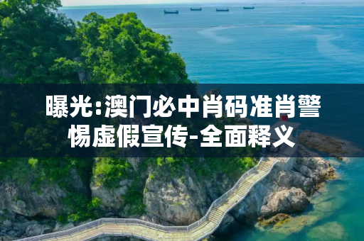 曝光:澳门必中肖码准肖警惕虚假宣传-全面释义