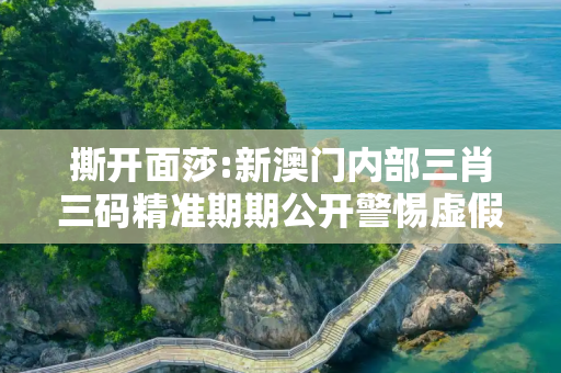 撕开面莎:新澳门内部三肖三码精准期期公开警惕虚假宣传-全面释义